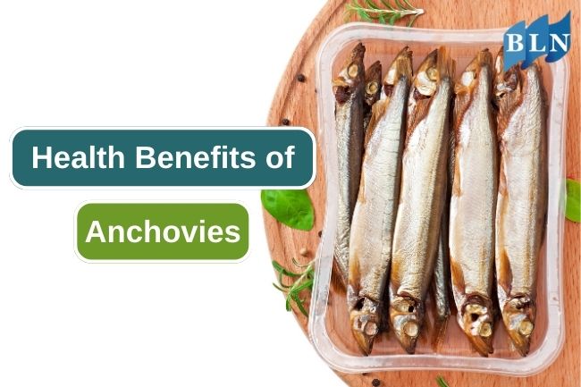 The 7 Best Benefits of Eating Anchovies